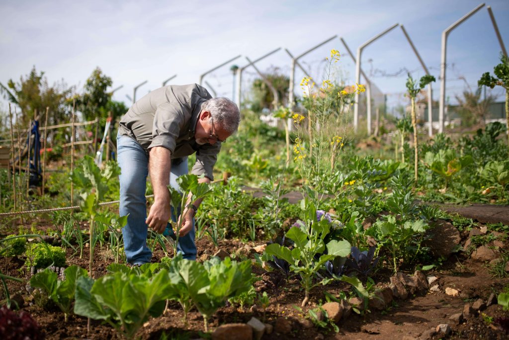 Conóce los préstamos para actividades agrícolas en RD